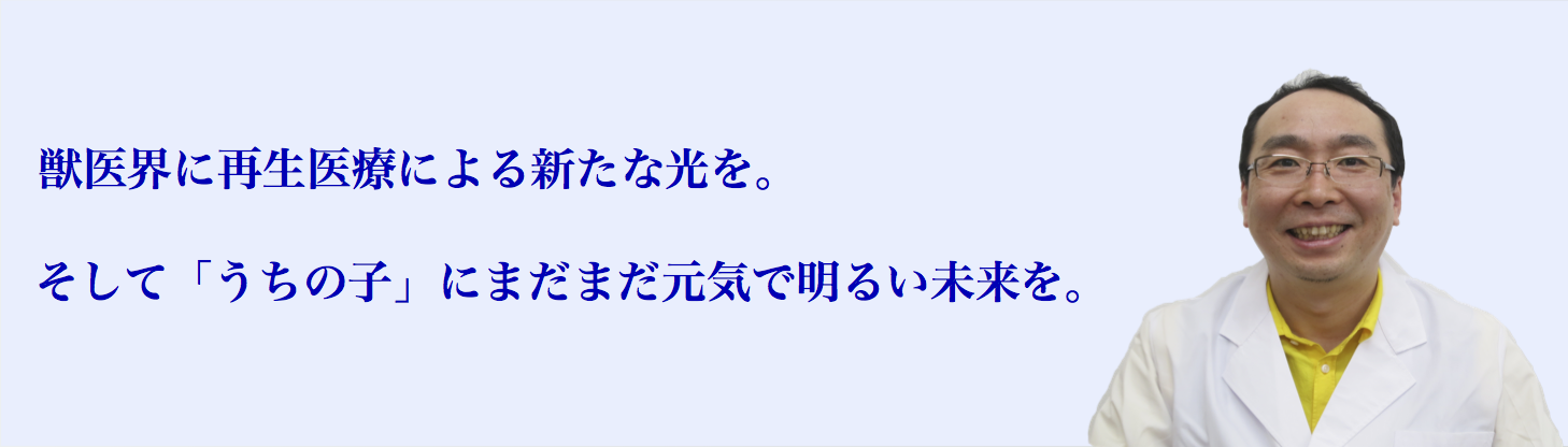 獣医界に再生医療による新たな光を。そして「うちの子」にまだまだ元気で明るい未来を。